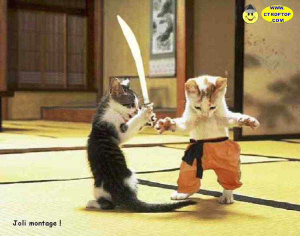 chankukai-humourenvrac