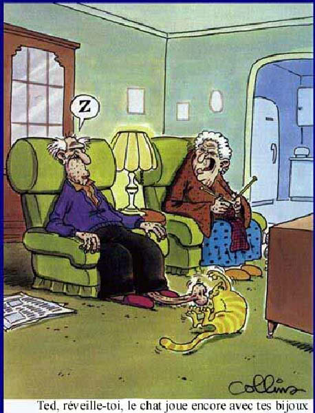 chatboules-humourenvrac