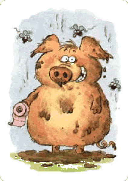 cochon1-humourenvrac