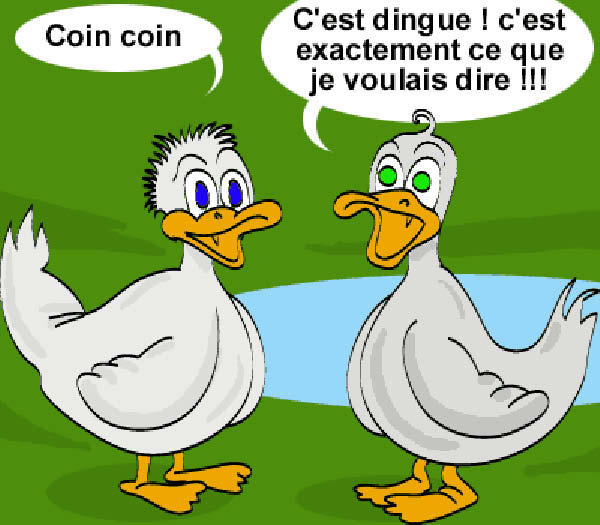 coincoin-humourenvrac