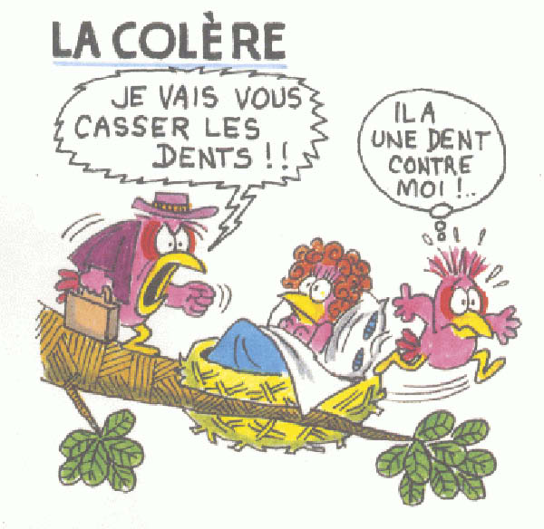 colere-humourenvrac-1