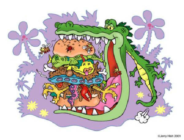 crocoburger-humourenvrac