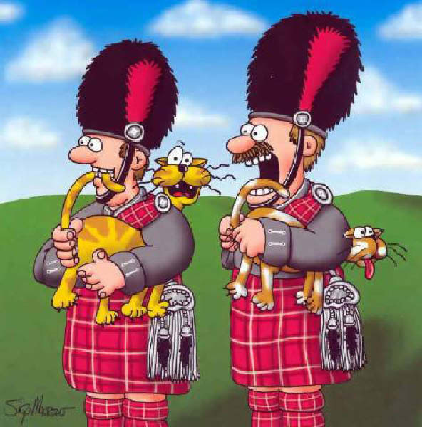 d-ecossais-humourenvrac