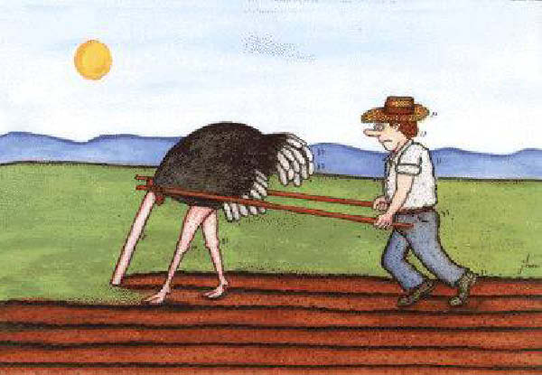 d-labours-humourenvrac