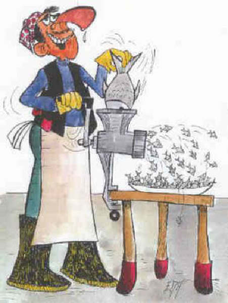 d-poissonnerie-humourenvrac