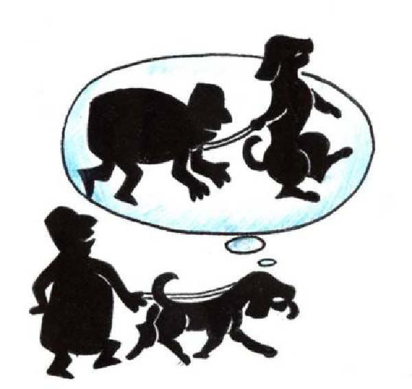 d-reves-humourenvrac