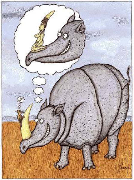 d-rhino-humourenvrac