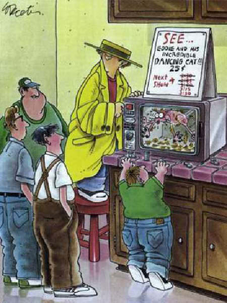 dancecat-humourenvrac