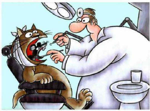 dentiste2bis-humourenvrac