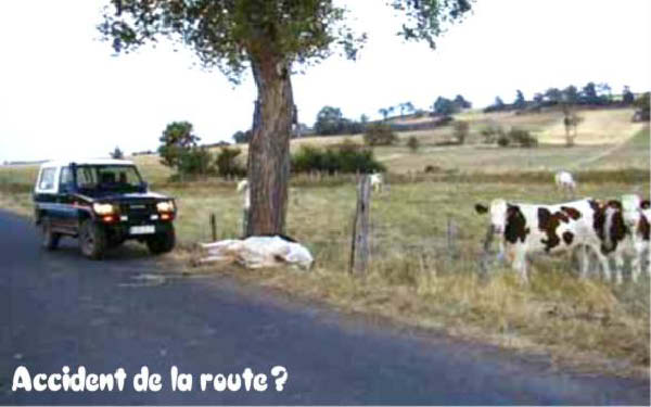 e-accident-humourenvrac