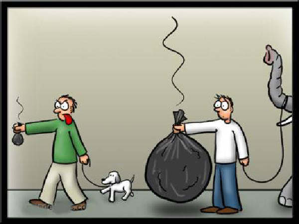 e-ani-de-compagnie-humourenvrac