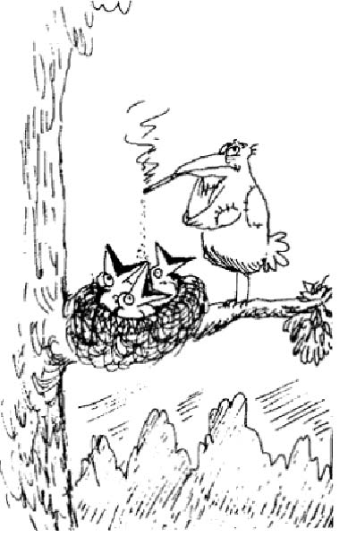 e-cendre-humourenvrac