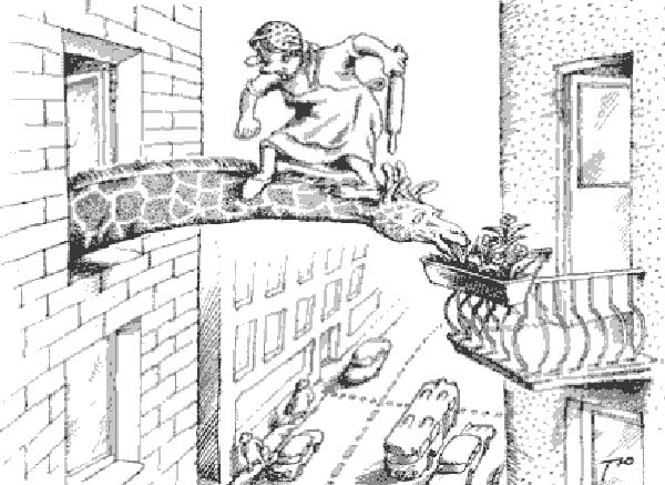 e-girafe-humourenvrac