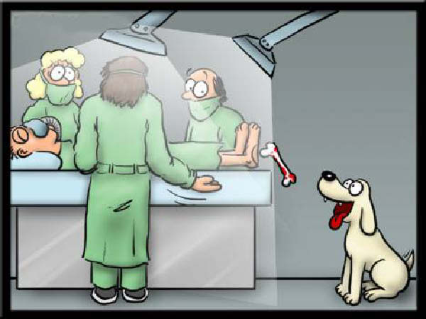 e-hopital-humourenvrac