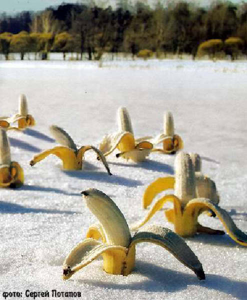 e-plantation-humourenvrac