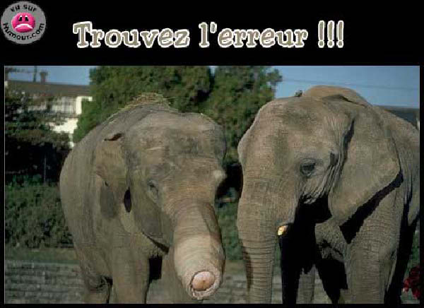 erreur-humourenvrac