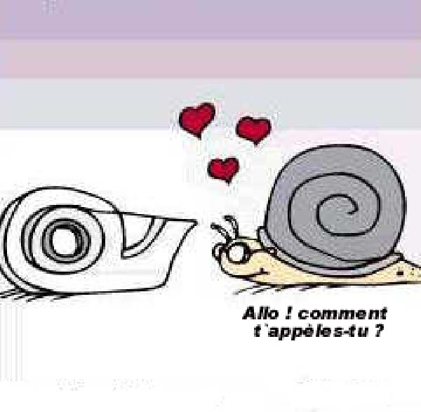 escargot-humourenvrac