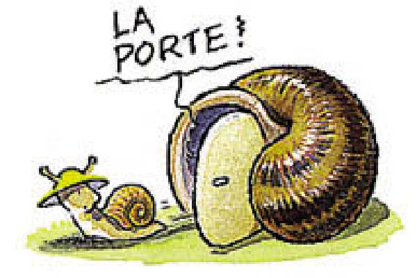 escargot2-humourenvrac