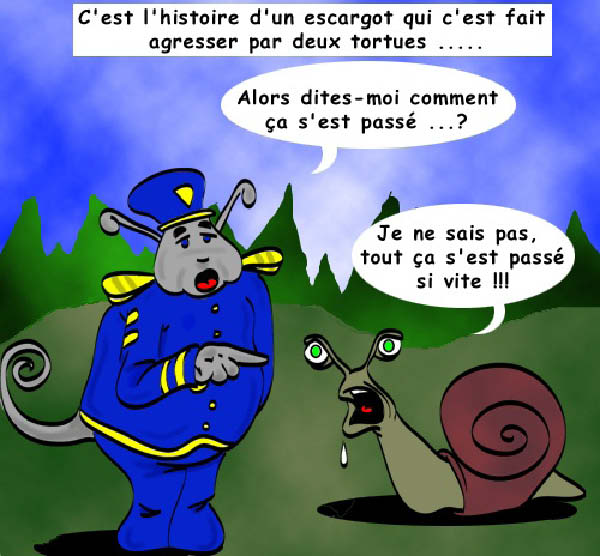 escargot3-humourenvrac