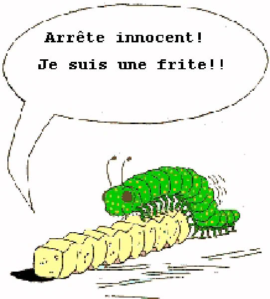 frite-humourenvrac