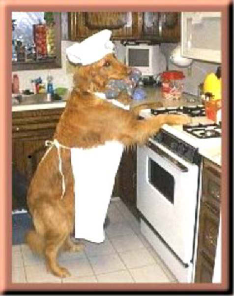 g-cuisinier-humourenvrac