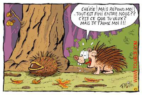 gags_37_herisson_chataigne_1-humourenvrac