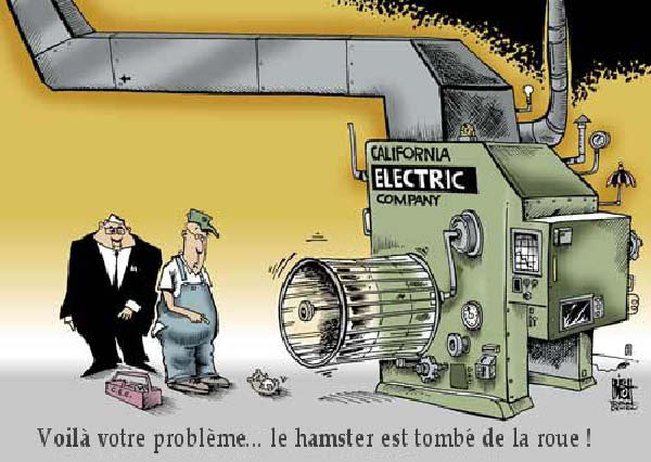 hamster-humourenvrac