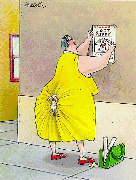 hum_chienperdu-humourenvrac