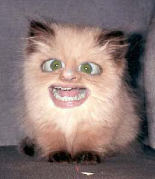 image001-humourenvrac