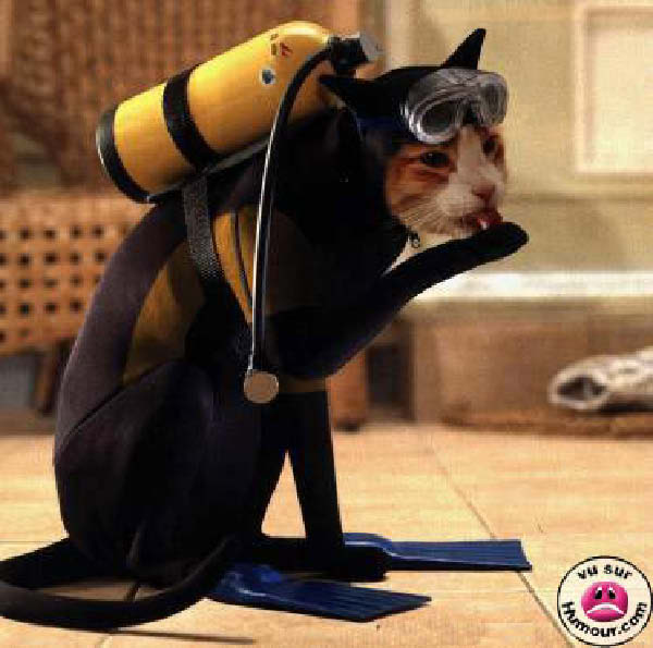 inso_031-humourenvrac