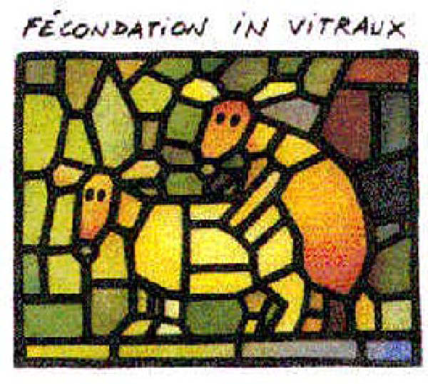 invitraux-humourenvrac