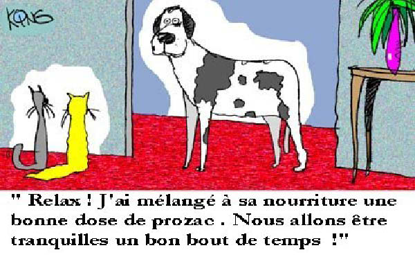 king_1004-humourenvrac