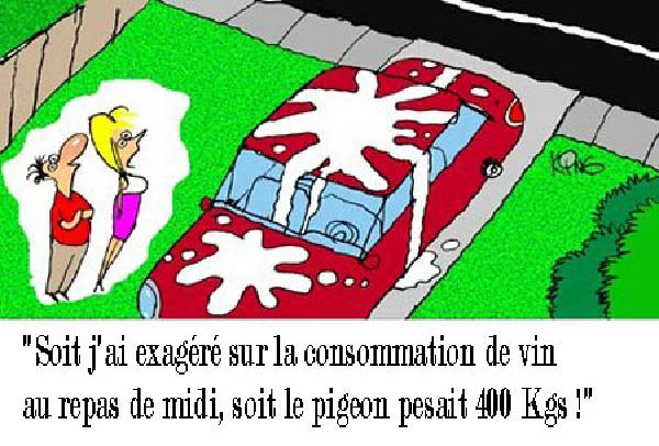 king_3004-humourenvrac