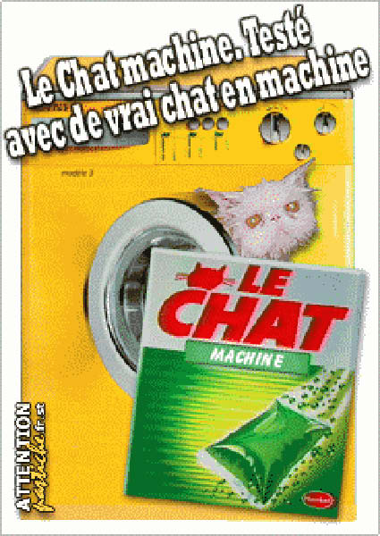 lechatmachine-humourenvrac