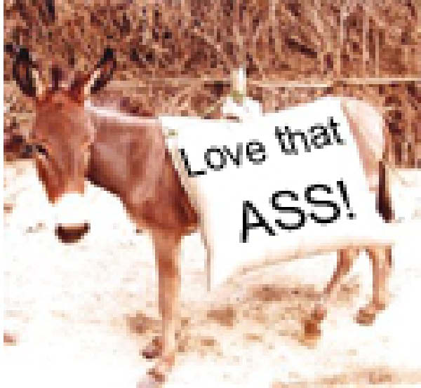 lovethatass-humourenvrac