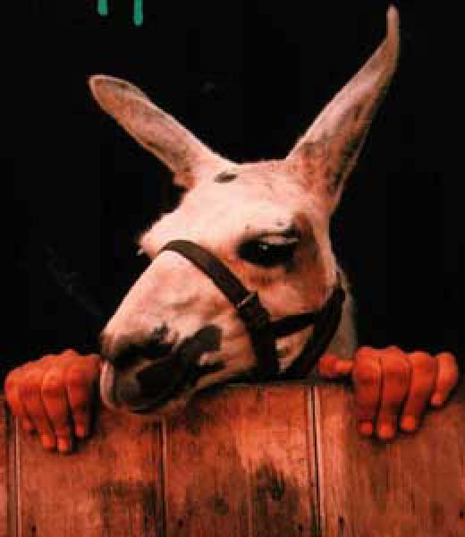 miane_mihomme-humourenvrac