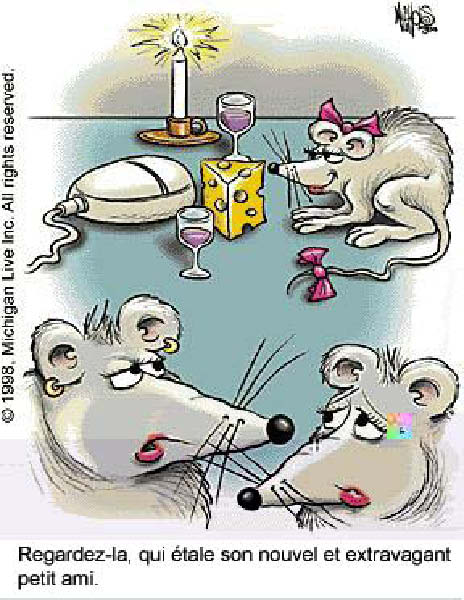 mice2-humourenvrac