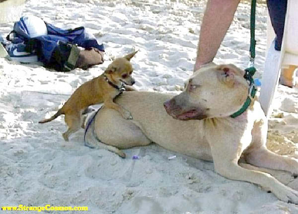 missionimpossible3-humourenvrac