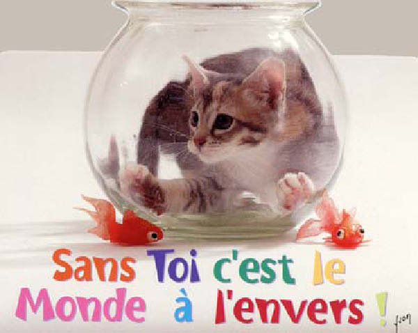 monde_envers-humourenvrac