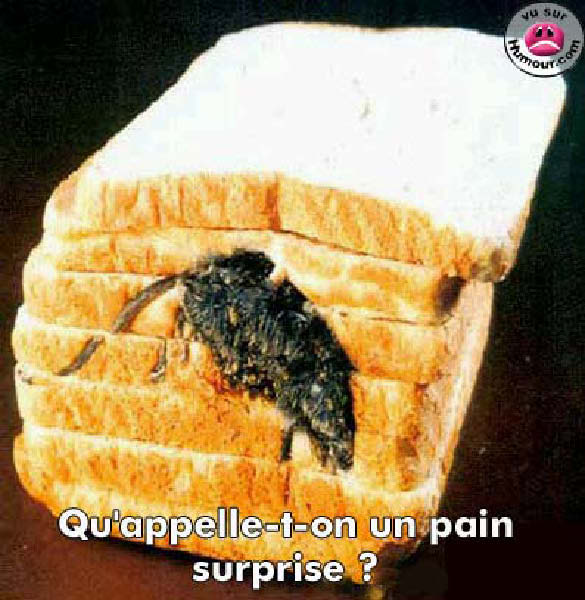 painsurprise-humourenvrac