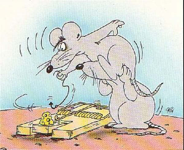 peche-1-humourenvrac