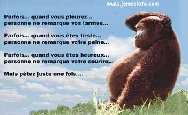 pete_1_coup-humourenvrac