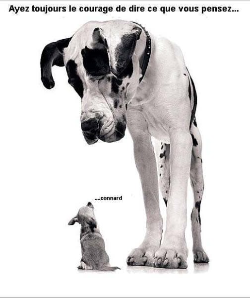 pic07644-humourenvrac