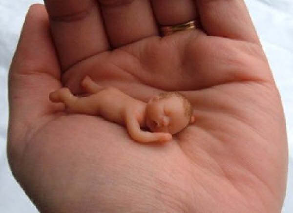 pic20040-humourenvrac