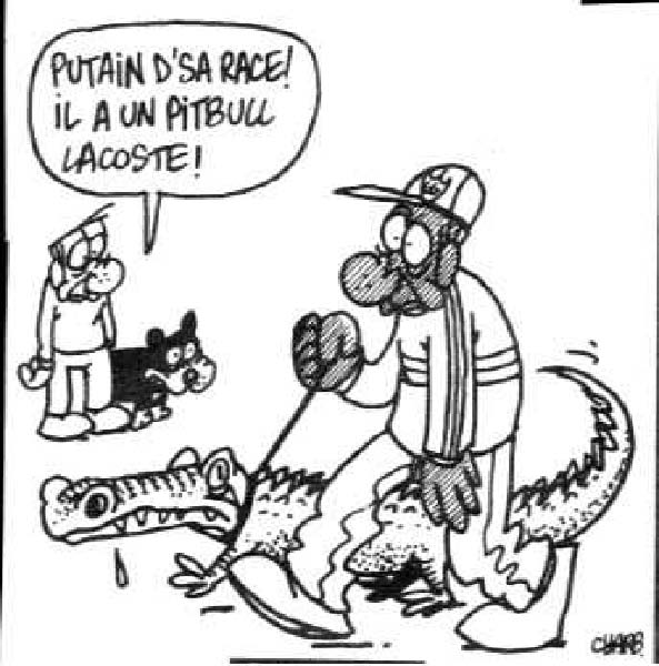 pitbull1-humourenvrac