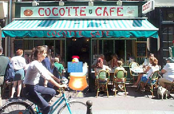 poulet-humourenvrac-1