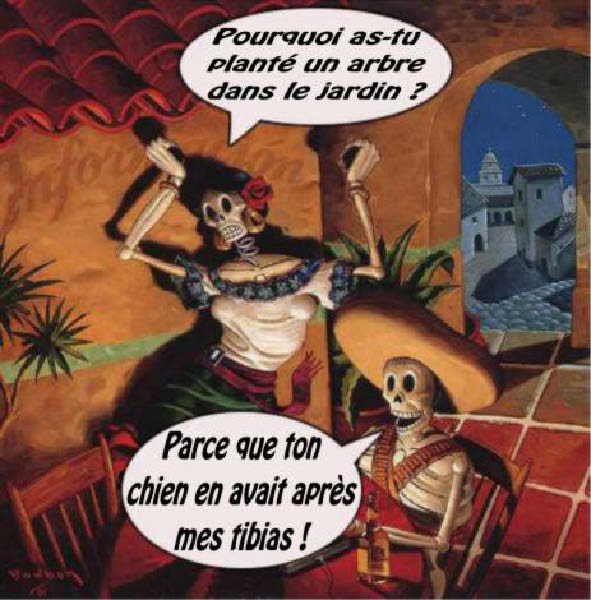 question1-humourenvrac