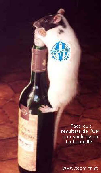 rat-humourenvrac