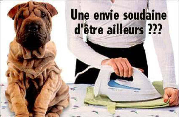 repassage-humourenvrac