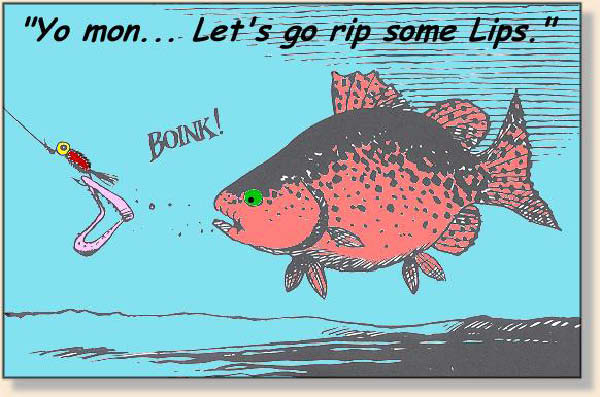 riplips-humourenvrac